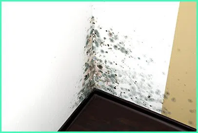 Coral Gables Emergency Restoration Coral Gables, FL 786-369-0584 Coral Gables Emergency Restoration Coral Gables, FL 786-369-0584 - city-img-1