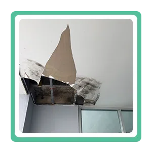 Coral Gables Emergency Restoration Coral Gables, FL 786-369-0584